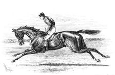 Bend Or, the winner of the Derby, 1880. Creator: Unknown