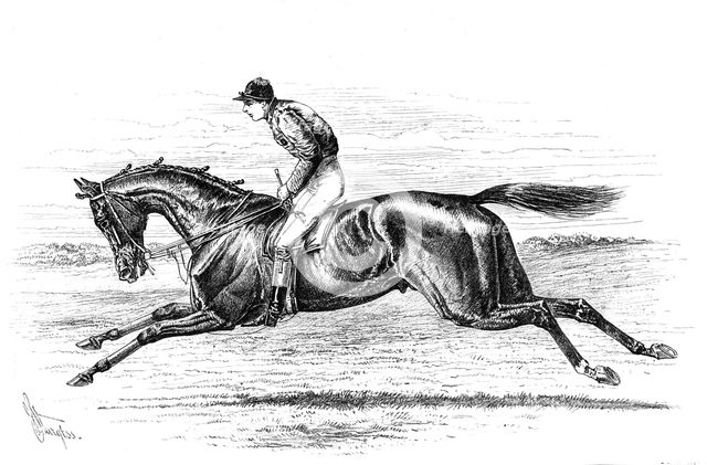 Bend Or, the winner of the Derby, 1880. Creator: Unknown.