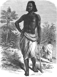 Beni-'Amir Arab; A journey through Soudan and Western Abyssinia, with Reminiscences of..., 1875. Creator: Unknown