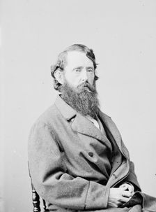 Benjamin Gratz Brown of Missouri, between 1855 and 1865. Creator: Unknown