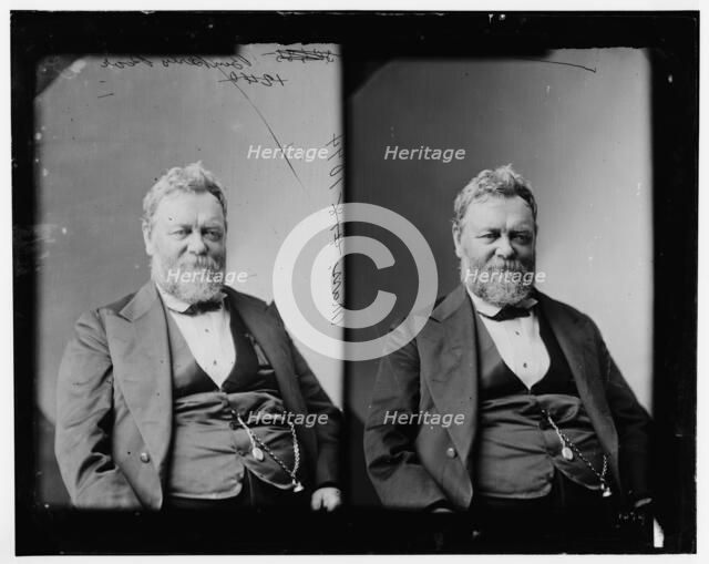 Benjamin Perley Poore of Massachusetts, 1865-1880. Creator: Unknown.