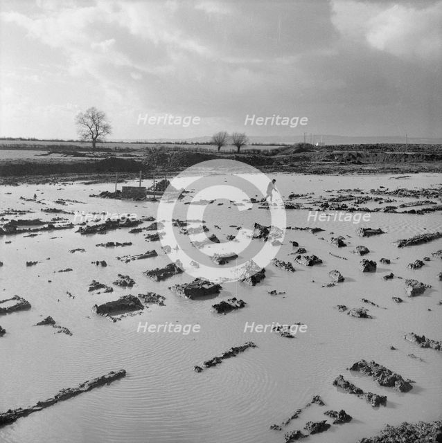 Berkeley Power Station, Berkeley, Ham and Stone, Stroud, Gloucestershire, 06/02/1957. Creator: John Laing plc.
