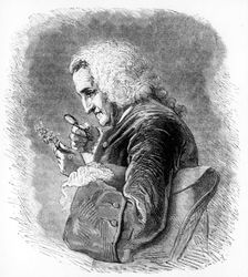 Bernard de Jussieu, 18th century French botanist, 1880. Creator: Unknown