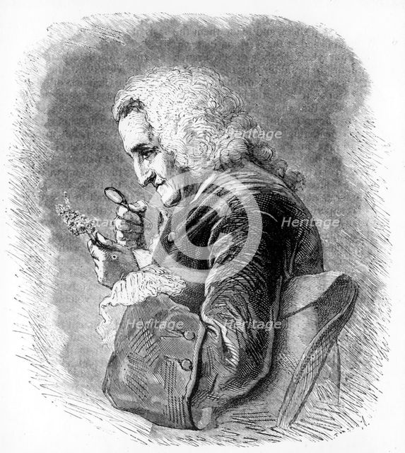 Bernard de Jussieu, 18th century French botanist, 1880. Creator: Unknown.
