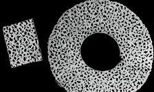 Bertha and Two Cuffs (Made from a Border), Italy, 1895/1905. Creator: Unknown