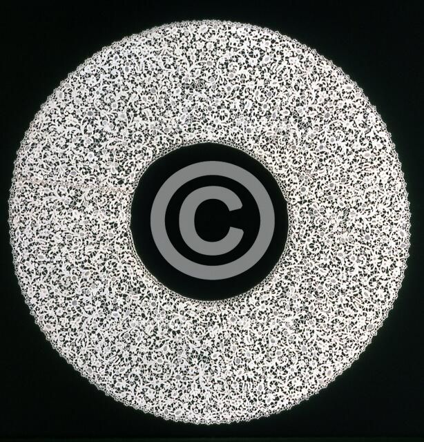 Bertha, Burano, Late 1890s. Creator: Unknown.