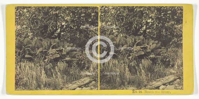 Beside the River, 1868/69. Creator: Whiting Bros.