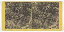 Beside the River, 1868/69. Creator: Whiting Bros