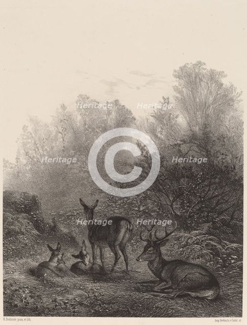 Biches au repos. Creator: Karl Bodmer.