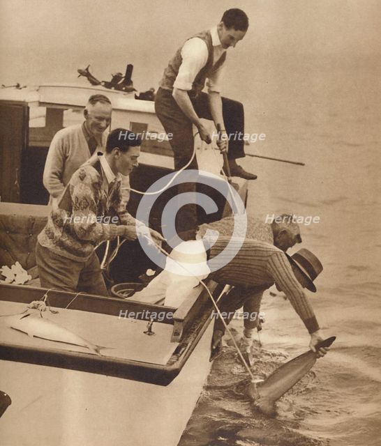 'Big Game Fishing, Bay of Islands, New Zealand', c1927, (1937). Artist: Unknown.