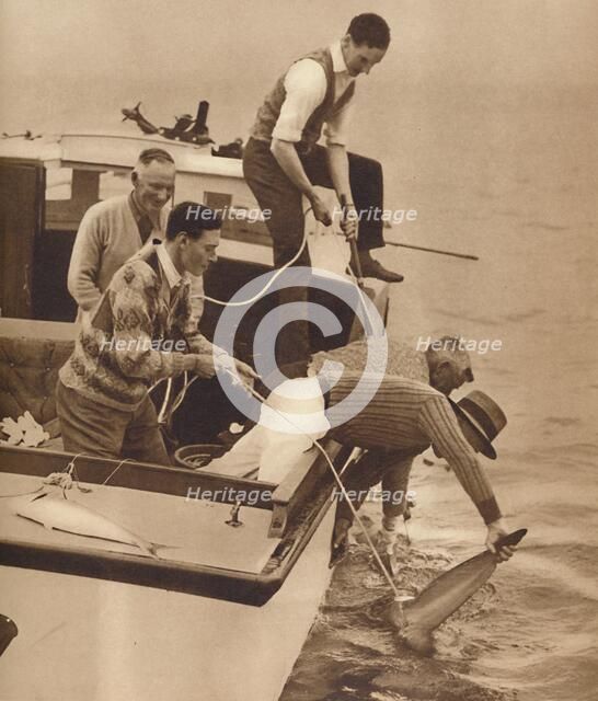 'Big Game Fishing, Bay of Islands, New Zealand', c1927, (1937). Artist: Unknown.