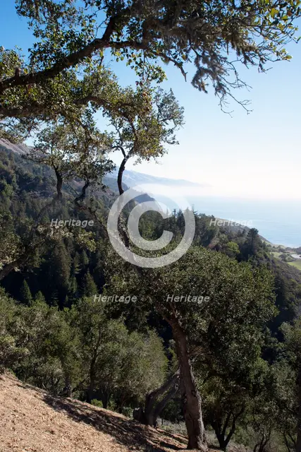 Big Sur, California, USA, 2022. Creator: Ethel Davies.