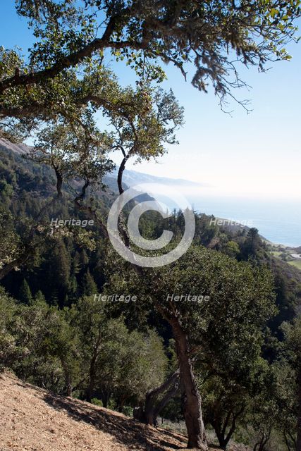 Big Sur, California, USA, 2022. Creator: Ethel Davies.