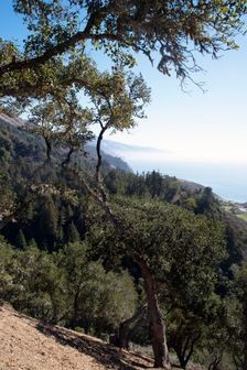 Big Sur, California, USA, 2022. Creator: Ethel Davies