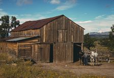 Bill Stagg, homesteader, in front of his barn, Pie Town, New Mexico, 1940. Creator: Russell Lee
