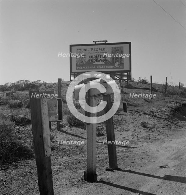 Billboard on U.S. Highway 99, California, 1937. Creator: Dorothea Lange.
