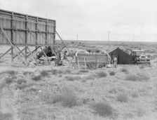 Billboard along U.S. 99...three destitute families...Kern County, CA, 1938. Creator: Dorothea Lange