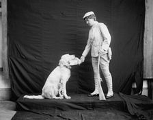 Billy and his mistress in hunting poses, between 1895 and 1910. Creator: Unknown