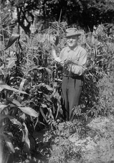 Billy Murray, between c1915 and c1920. Creator: Bain News Service