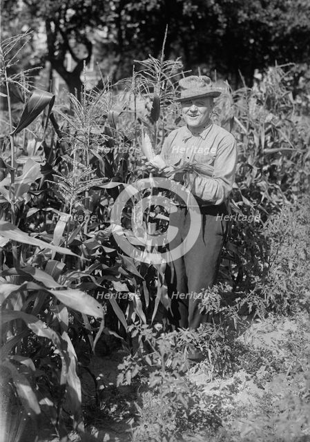 Billy Murray, between c1915 and c1920. Creator: Bain News Service.