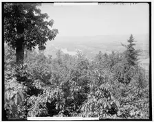 Binghamton, N.Y., c1900. Creator: Unknown