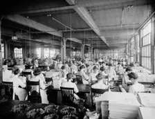 Binding department, National Cash Register [Company], Dayton, Ohio, (1902?). Creator: Unknown