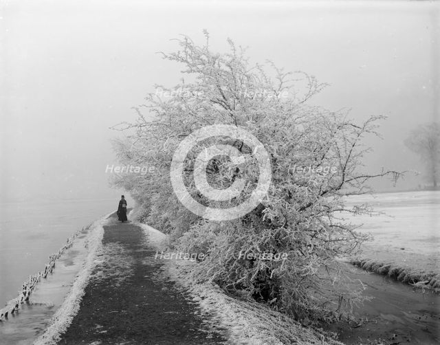 Binsey, Oxford, Oxfordshire, 1880.  Artist: Henry Taunt