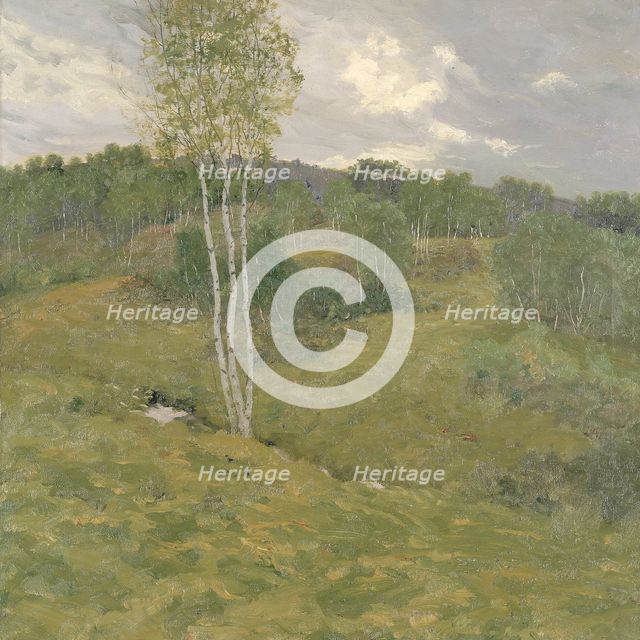 Birch-Clad Hills, ca. 1908. Creator: Ben Foster.