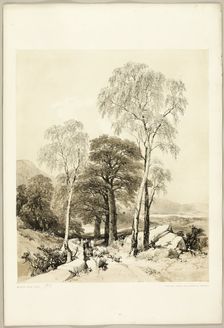 Birch and Oak, from The Park and the Forest, 1841. Creator: James Duffield Harding