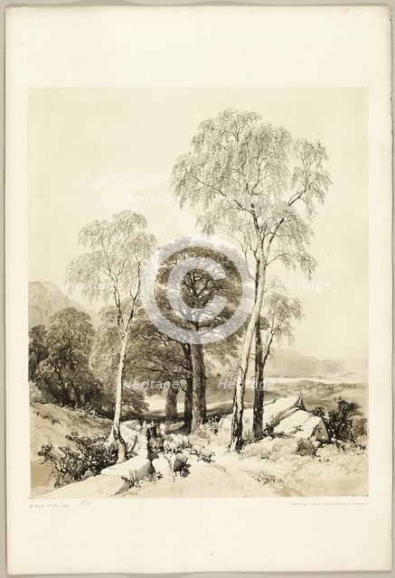Birch and Oak, from The Park and the Forest, 1841. Creator: James Duffield Harding.