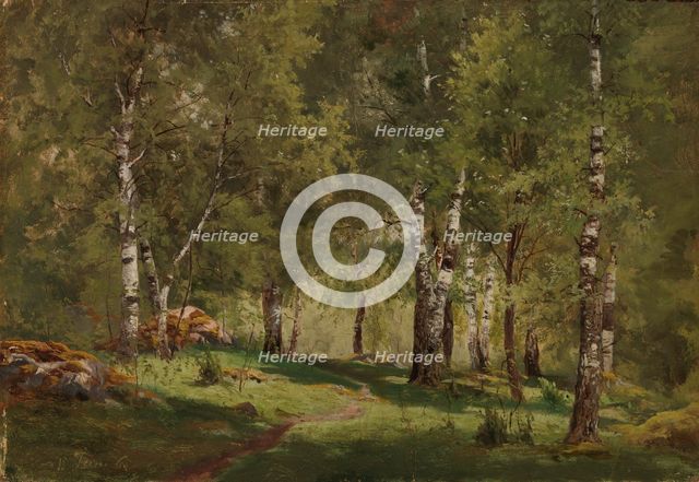 Birch Grove, 1865. Creator: Hjalmar Munsterhjelm.