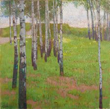 Birch grove in the evening light, 1902. Creator: Carl Moll