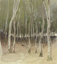 Birch forest, 1855. Creator: Carl Theodor Reiffenstein