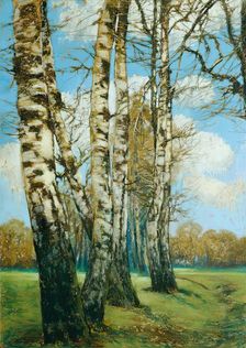 Birch trees, 1907. Creator: Ferdinand Engelmuller