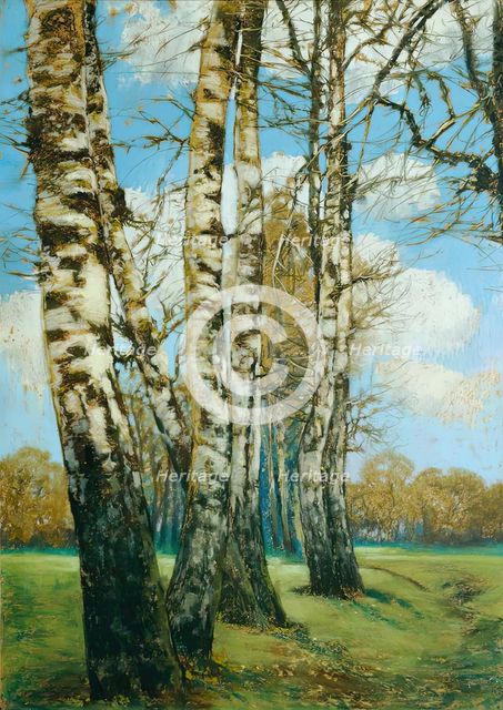 Birch trees, 1907. Creator: Ferdinand Engelmuller.