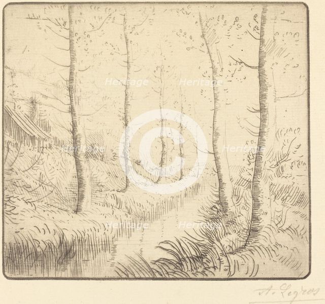 Birch Trees along the Water (Les bouleaux: Bord de l'eau). Creator: Alphonse Legros.