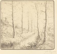 Birch Trees along the Water (Les bouleaux: Bord de l'eau). Creator: Alphonse Legros