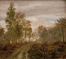 Birch trees at Læso after rain, 1849. Creator: Peter Christian Thamsen Skovgaard