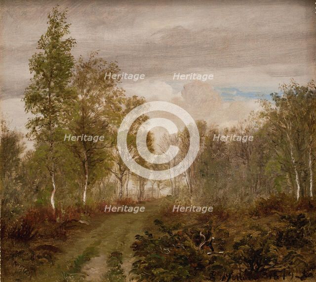 Birch trees at Læso after rain, 1849. Creator: Peter Christian Thamsen Skovgaard.