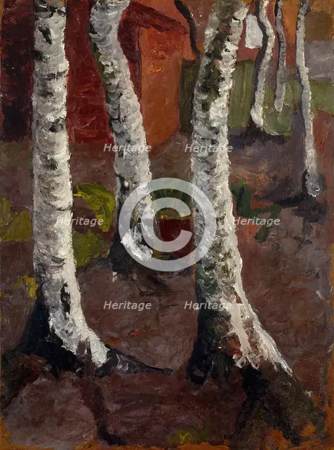 Birch trees in front of red house wall, ca 1901.