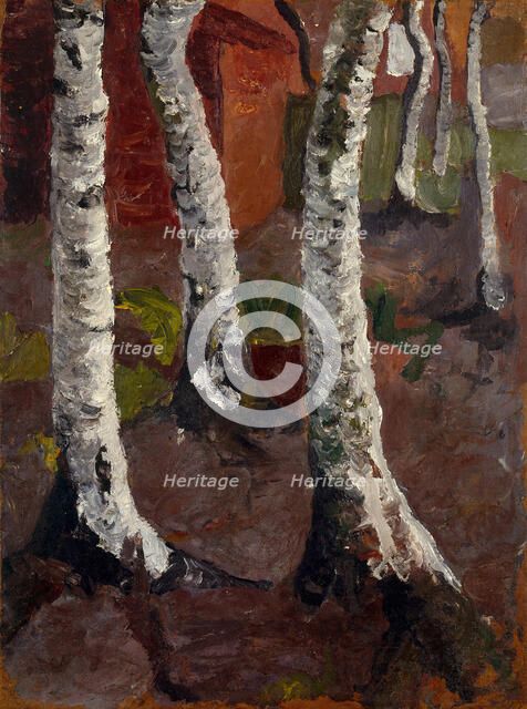 Birch trees in front of red house wall, ca 1901.