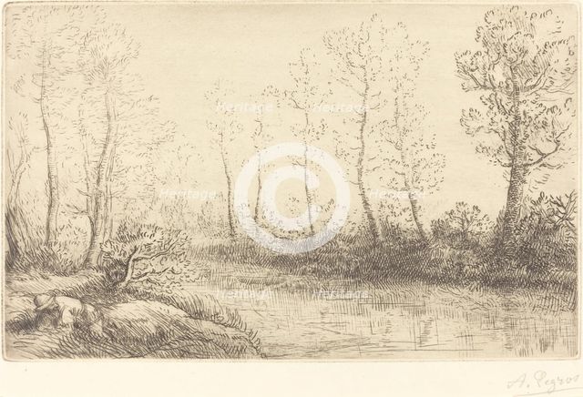 Birch Trees: Water's Edge Seen in Morning Light (Les Bouleaux: Bord de l'eau, effet du matin). Creator: Alphonse Legros.