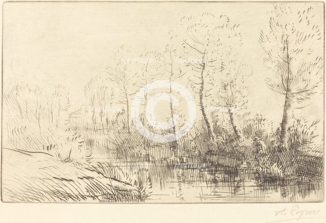 Birch Trees: Water's Edge Seen in Morning Light (Les bouleaux: Bord de l'eau, effet du matin. Creator: Alphonse Legros.