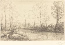 Birch Trees: Water's Edge Seen in Morning Light (Les Bouleaux: Bord de l'eau, effet du matin). Creator: Alphonse Legros