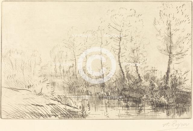 Birch Trees: Water's Edge Seen in Morning Light (Les bouleaux: Bord de l'eau, effet du matin. Creator: Alphonse Legros.