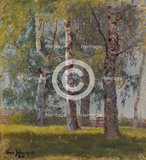 Birches, 1884. Creator: Eero Jarnefelt.