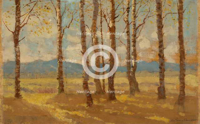 Birches in Autumn, 1900-1910. Creator: Ferdinand Katona.