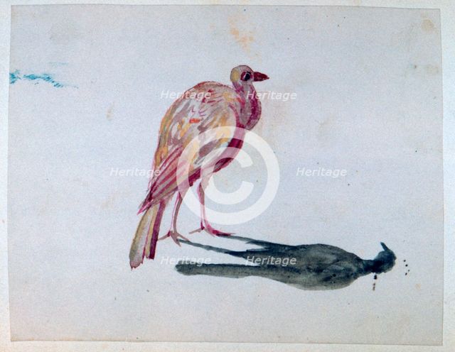 'Bird', 1820-1876. Artist: George Sand
