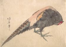 Bird, 1830s. Creator: Hakusanjin Hokui