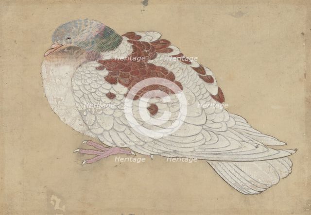 Bird, 18th century. Creator: Unknown.